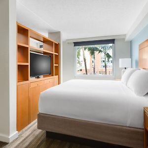 King Studio Suite
